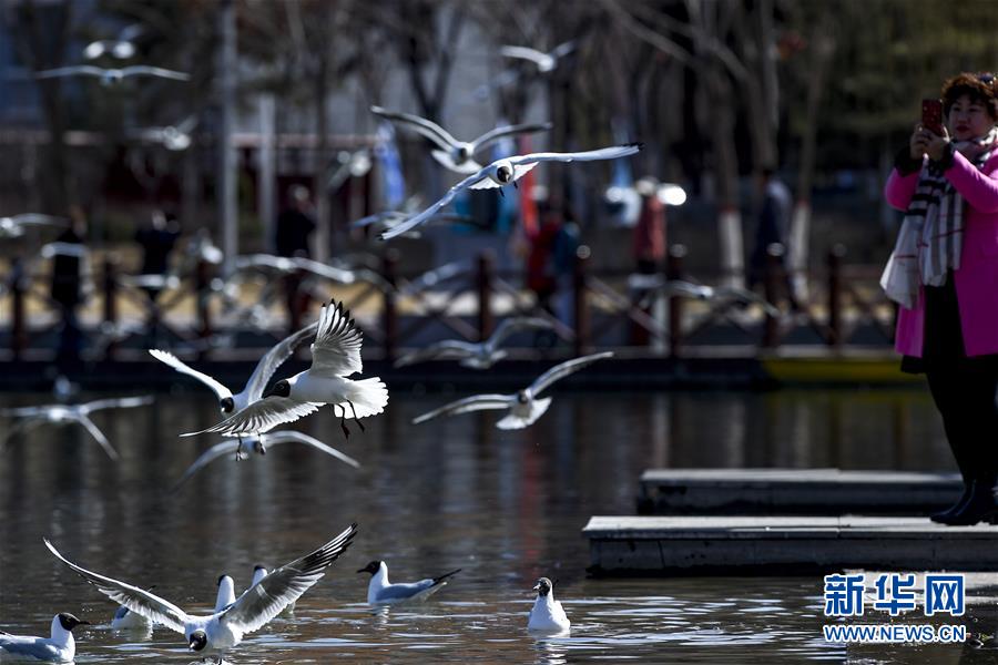 （新華全媒頭條&middot;圖文互動）（15）從水困到水興&mdash;&mdash;寧夏&ldquo;水樣本&rdquo;中的發(fā)展密碼
