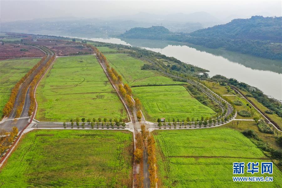 (四中全會精神在基層·圖文互動)(2)一江碧水串起綠色島鏈——重慶江心島“生態(tài)留白”調查