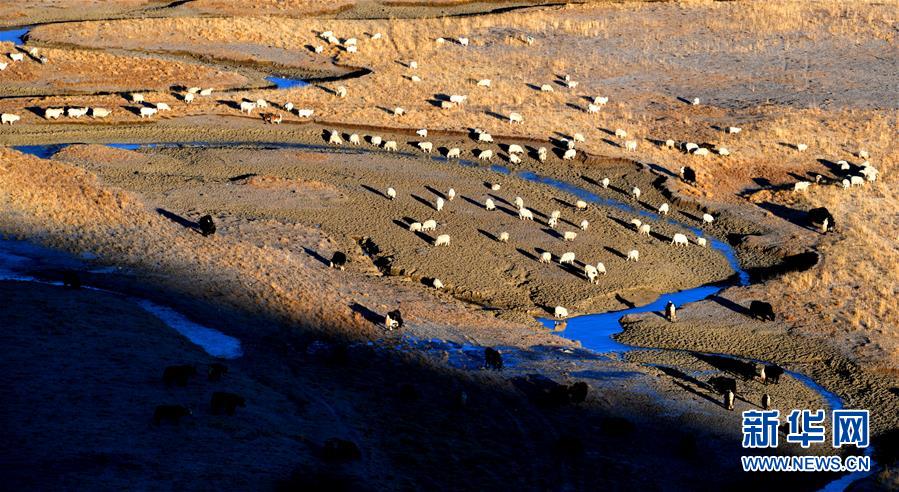 （新華全媒頭條&middot;圖文互動(dòng)）（15）格?；ㄩ_(kāi)滿(mǎn)天路&mdash;&mdash;寫(xiě)在川藏公路通車(chē)65周年之際