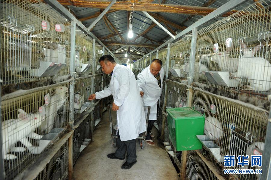 （新華全媒頭條&middot;圖文互動）（4）干部去哪兒了？&mdash;&mdash;貴州干部大規(guī)模下沉脫貧攻堅一線紀實