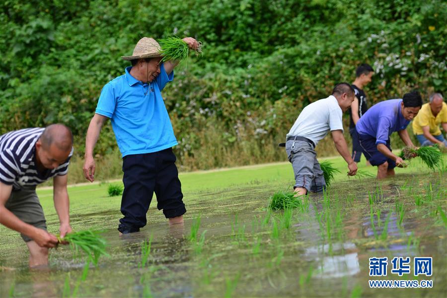 （新華全媒頭條&middot;圖文互動）（8）干部去哪兒了？&mdash;&mdash;貴州干部大規(guī)模下沉脫貧攻堅一線紀實