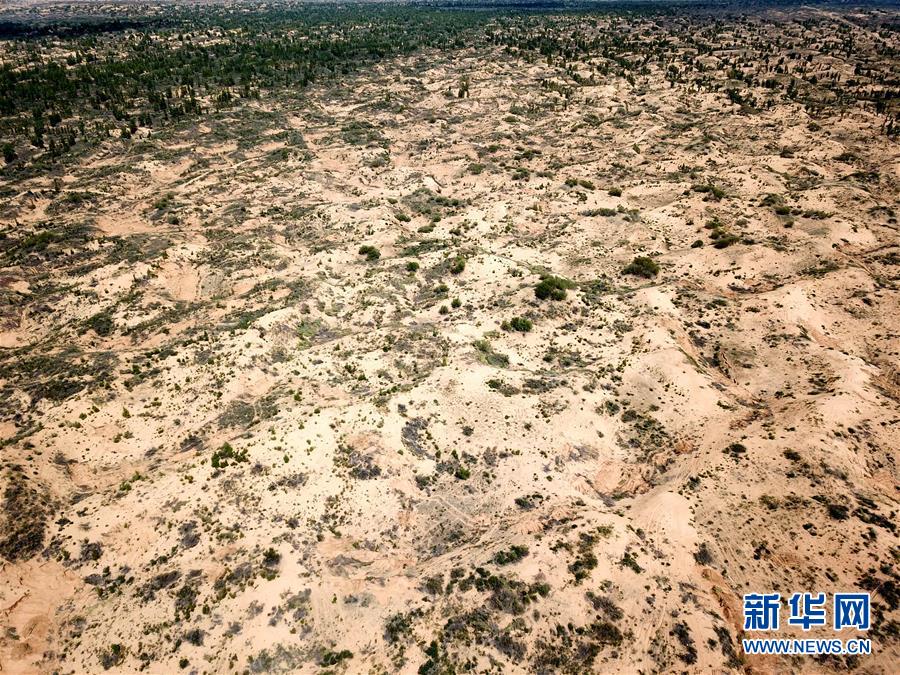 （圖文互動(dòng)）（2）陜西榆林毀林建光伏電站追蹤：還有哪些疑團(tuán)有待破解？ 