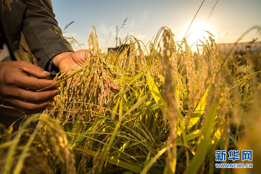 （新華全媒頭條&middot;兩會特別報道&middot;圖文互動）（2）開拓更加寬廣的高質(zhì)量發(fā)展前景&mdash;&mdash;從全國兩會看奮進中國的堅定步伐