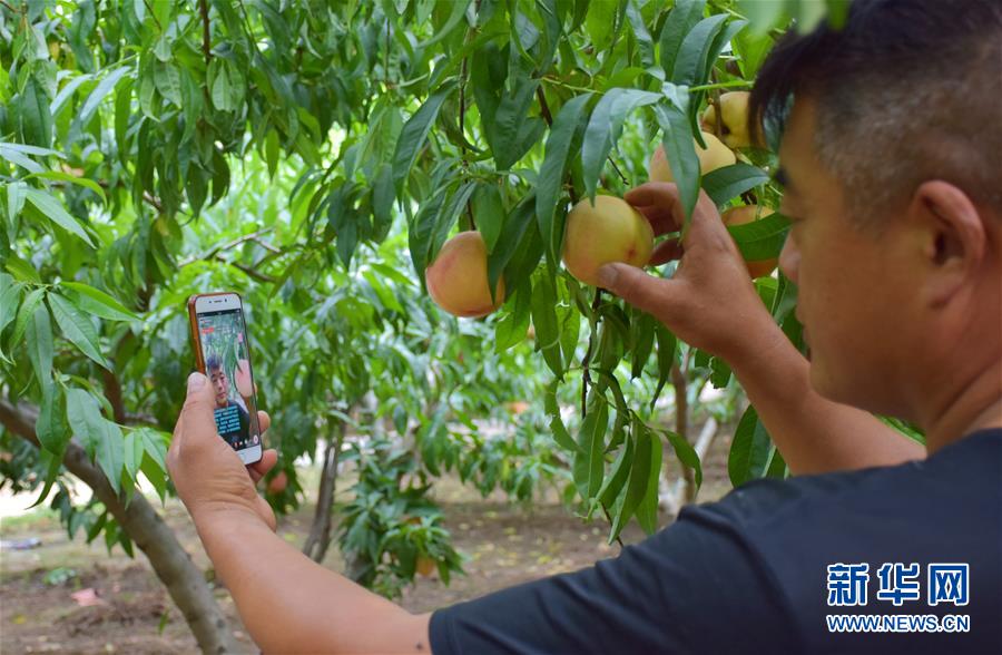 （在習近平新時代中國特色社會主義思想指引下&mdash;&mdash;新時代新作為新篇章&middot;總書記關(guān)切脫貧事&middot;決勝貧困&middot;圖文互動）（6）讓一方水土&ldquo;富養(yǎng)&rdquo;一方人&mdash;&mdash;扶貧特色產(chǎn)業(yè)惠及千家萬戶