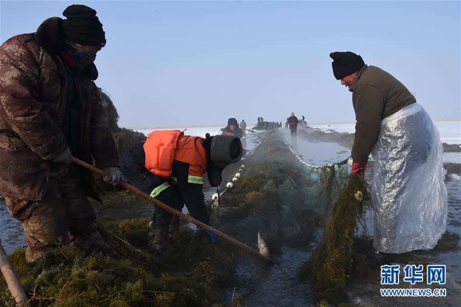 (新春走基層·圖文互動(dòng))(4)“干活的人不會(huì)冷”——直擊新疆吉力湖冬捕現(xiàn)場(chǎng)