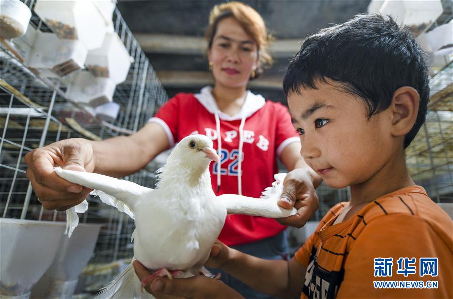 (新華全媒頭條·聚焦中國經(jīng)濟成績單·圖文互動)(10)為全面建成小康社會奠定堅實基礎(chǔ)——從2019年數(shù)據(jù)看中國經(jīng)濟發(fā)展大勢