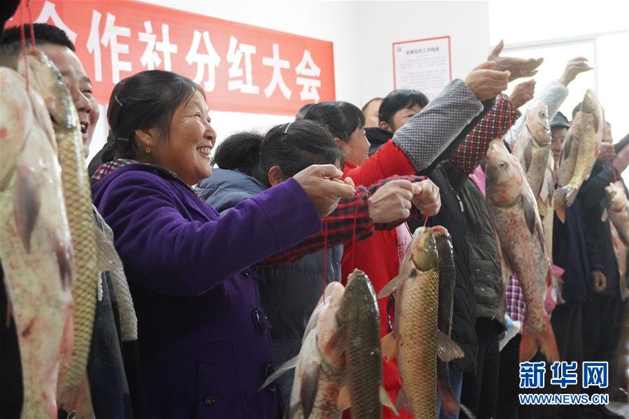 （新春走基層&middot;圖文互動(dòng)）（3）&ldquo;空殼村&rdquo;分紅啦！