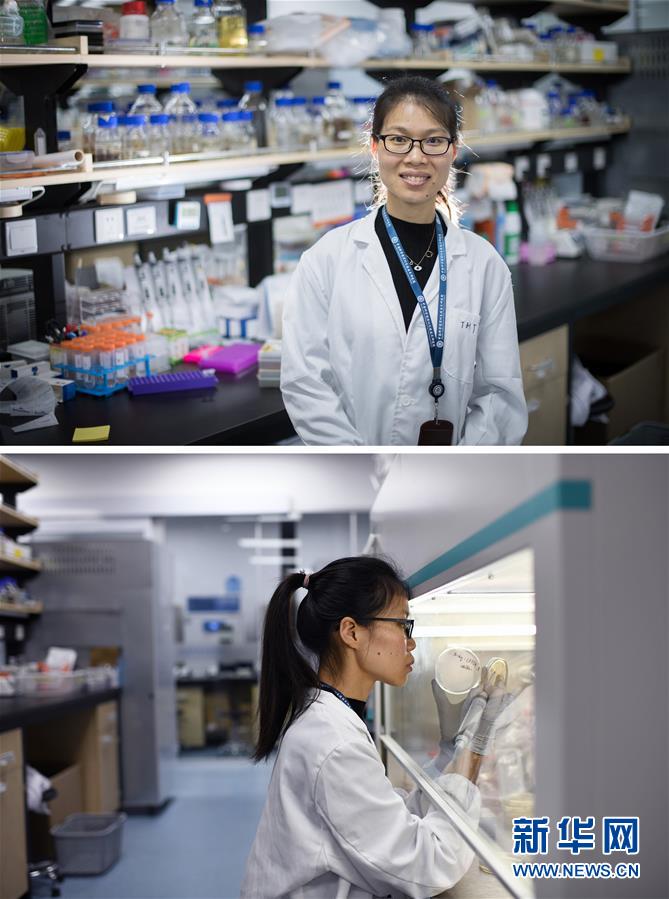 （新華全媒頭條&middot;圖文互動(dòng)）（1）創(chuàng)造中華民族的偉大歷史時(shí)間&mdash;&mdash;寫在農(nóng)歷庚子鼠年春節(jié)到來之際 