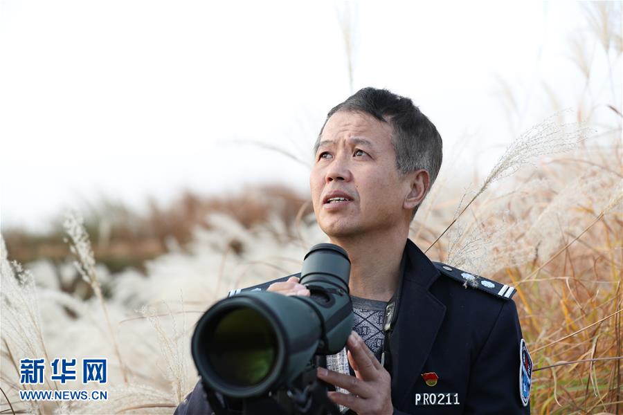 （新春走基層&middot;圖文互動(dòng)）他們，默默守護(hù)候鳥(niǎo)