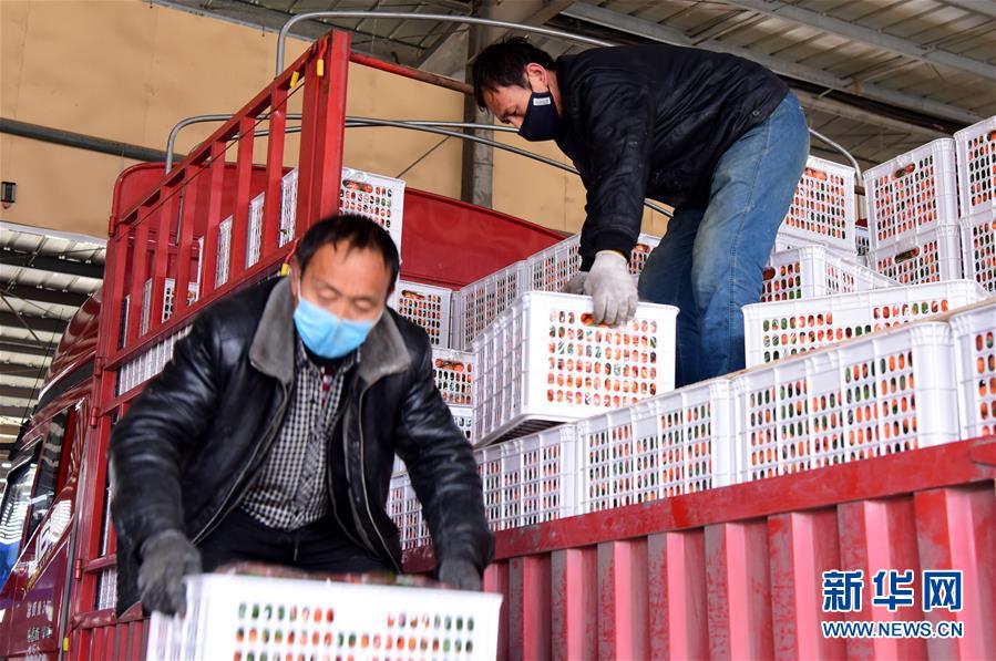 （聚焦疫情防控&middot;圖文互動）（5）吃的東西充足，做點花樣菜吧！&mdash;&mdash;中部地區(qū)最大農(nóng)產(chǎn)品批發(fā)市場見聞 