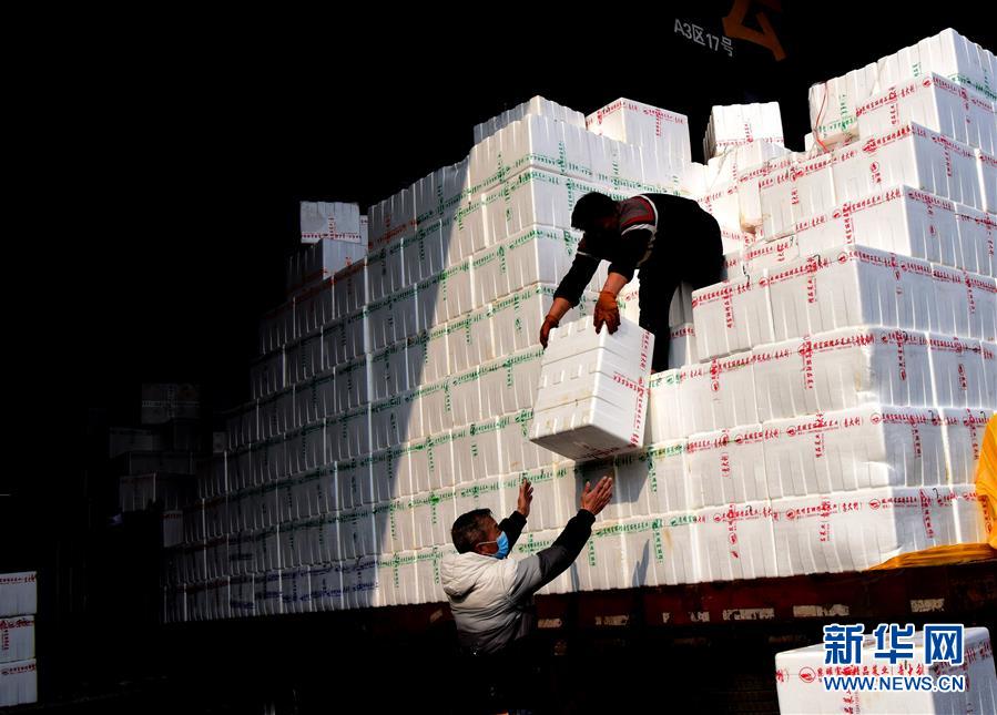 （聚焦疫情防控&middot;圖文互動）（4）吃的東西充足，做點花樣菜吧！&mdash;&mdash;中部地區(qū)最大農(nóng)產(chǎn)品批發(fā)市場見聞 