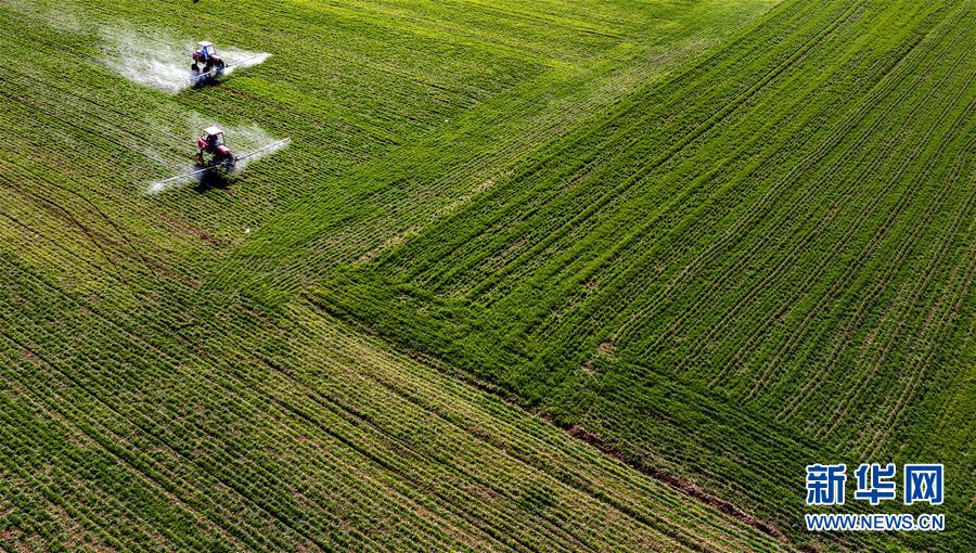 (新華全媒頭條·圖文互動)(13)磨難壓不垮 奮起正當(dāng)時——習(xí)近平總書記在統(tǒng)籌推進(jìn)新冠肺炎疫情防控和經(jīng)濟(jì)社會發(fā)展工作部署會議上的重要講話振奮人心凝聚力量