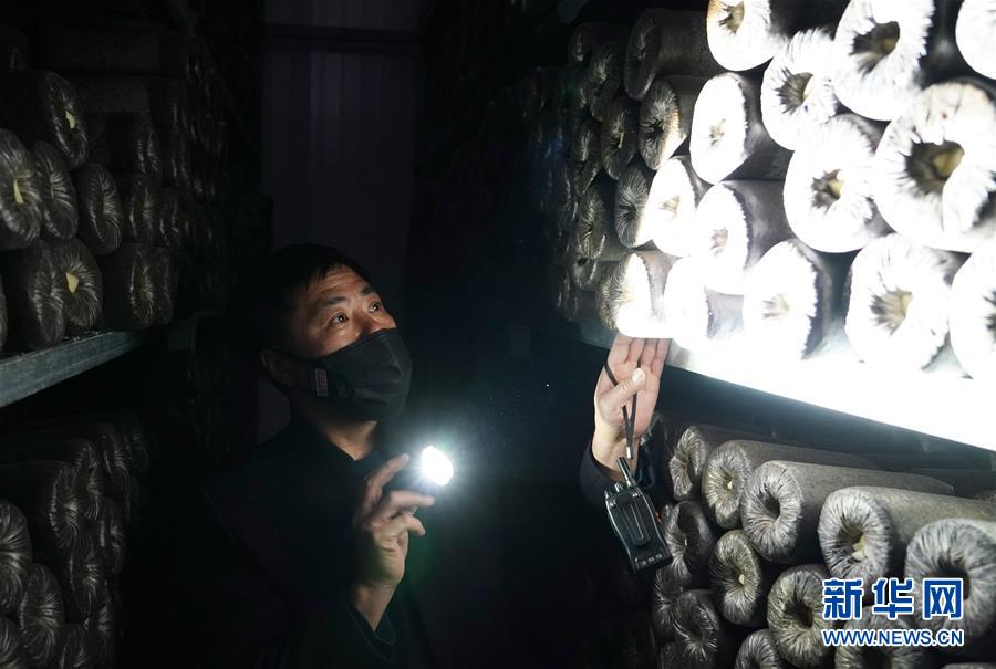 （決戰(zhàn)決勝脫貧攻堅&middot;圖文互動）（4）秦巴山區(qū)：戰(zhàn)疫戰(zhàn)貧，兩場仗都要打贏