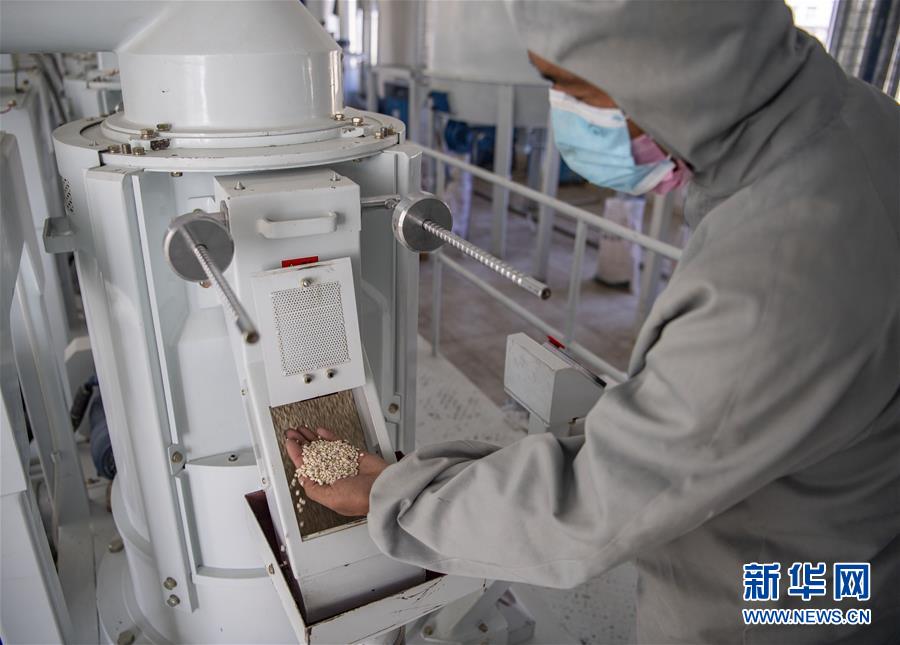 （新華全媒頭條&middot;圖文互動(dòng)）（7）血脈同心 共盼春來&mdash;&mdash;疫情阻擊戰(zhàn)中的雪域故事