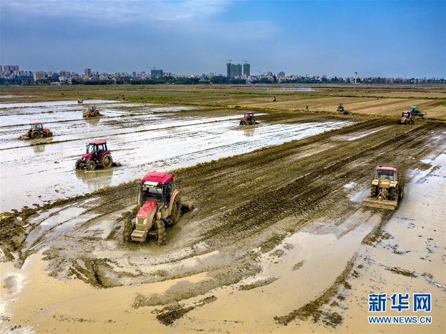 (圖文互動(dòng))讓“世界工廠”心不慌——廣東春耕生產(chǎn)見(jiàn)聞