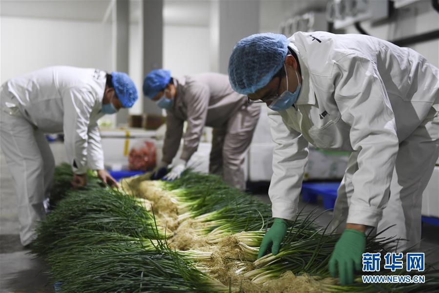 （圖文互動）（6）&ldquo;早一天復(fù)工，損失就少一點(diǎn)&rdquo;&mdash;&mdash;廣西以精準(zhǔn)防控推動復(fù)工復(fù)產(chǎn)一線見聞