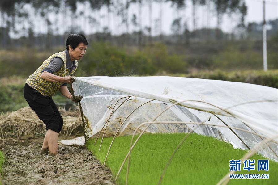 （圖文互動）（2）&ldquo;早一天復(fù)工，損失就少一點(diǎn)&rdquo;&mdash;&mdash;廣西以精準(zhǔn)防控推動復(fù)工復(fù)產(chǎn)一線見聞