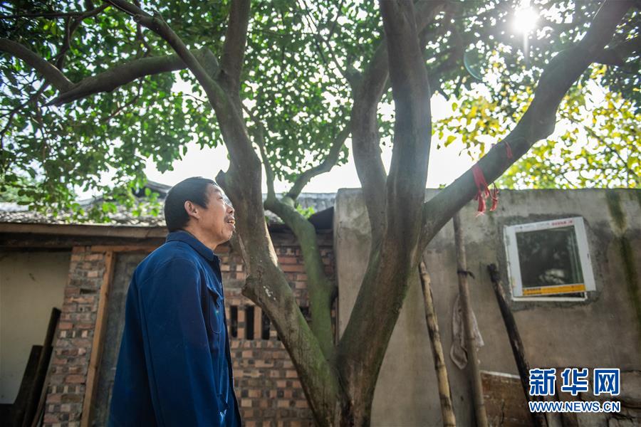 (新華全媒頭條·圖文互動(dòng))(7)書(shū)寫(xiě)新的轉(zhuǎn)折——寫(xiě)在革命老區(qū)遵義全面脫貧之際