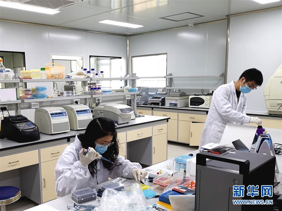 (在習(xí)近平新時(shí)代中國特色社會(huì)主義思想指引下——新時(shí)代新作為新篇章·習(xí)近平總書記關(guān)切事·圖文互動(dòng))(5)高擎利劍驅(qū)疫魔——科研攻關(guān)助力湖北戰(zhàn)“疫”記