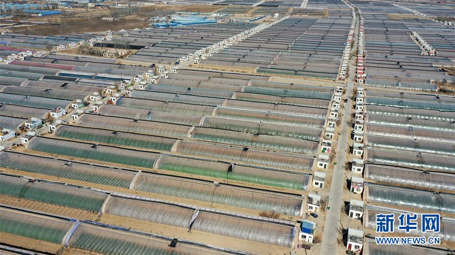 (在習(xí)近平新時(shí)代中國(guó)特色社會(huì)主義思想指引下——新時(shí)代新作為新篇章·習(xí)近平總書(shū)記關(guān)切事·圖文互動(dòng))(4)戰(zhàn)“疫”戰(zhàn)“貧”都要贏——脫貧攻堅(jiān)一線打響兩場(chǎng)硬仗