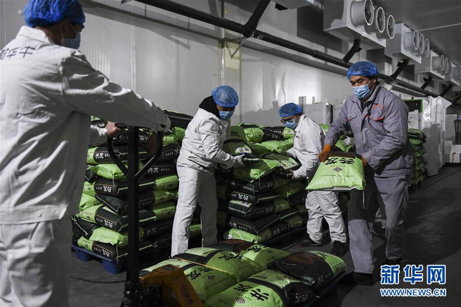 (抓好經(jīng)濟發(fā)展 應對復雜局面·圖文互動)(1)“一企一策”解難題 大項目按下“加速器”——廣西精準有序推動項目開工復工