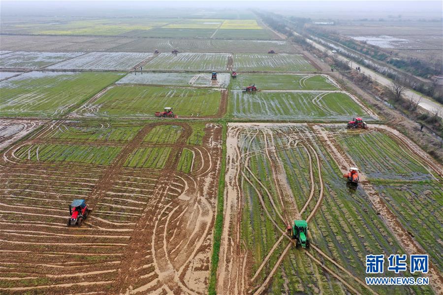 （抓好春耕備耕 穩(wěn)住農(nóng)業(yè)生產(chǎn)&middot;圖文互動）（2）智能農(nóng)機(jī)、&ldquo;訂單&rdquo;服務(wù)、&ldquo;云端&rdquo;種菜&mdash;&mdash;來自江西的春耕&ldquo;新事&rdquo;