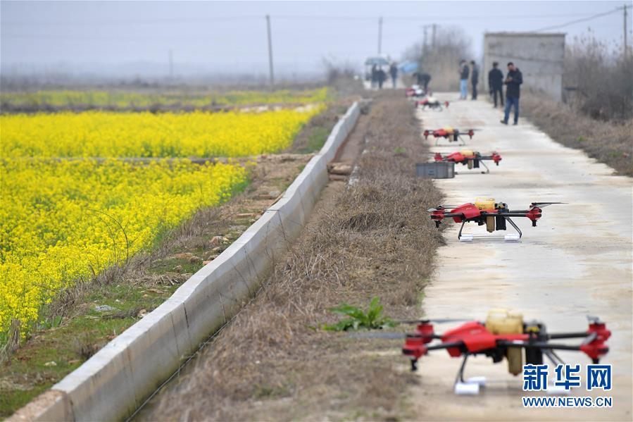 （抓好春耕備耕 穩(wěn)住農(nóng)業(yè)生產(chǎn)&middot;圖文互動）（4）智能農(nóng)機(jī)、&ldquo;訂單&rdquo;服務(wù)、&ldquo;云端&rdquo;種菜&mdash;&mdash;來自江西的春耕&ldquo;新事&rdquo;