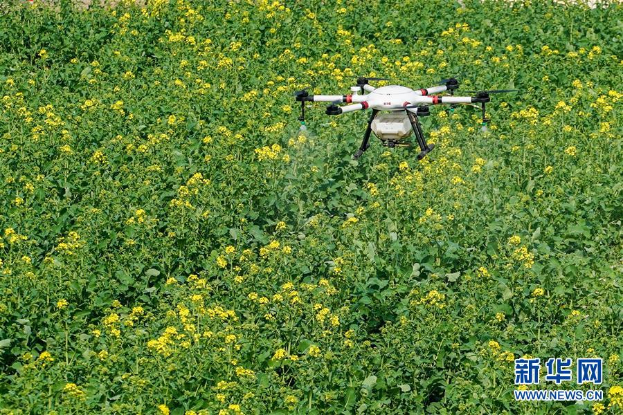 (在習(xí)近平新時(shí)代中國特色社會(huì)主義思想指引下——新時(shí)代新作為新篇章·習(xí)近平總書記關(guān)切事·圖文互動(dòng))(17)精準(zhǔn)發(fā)力抓統(tǒng)籌——各地落實(shí)“分區(qū)分級”有序恢復(fù)生產(chǎn)生活