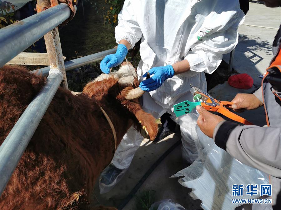 (決戰(zhàn)決勝脫貧攻堅(jiān)·圖文互動(dòng))(1)脫貧“不暫停” 服務(wù)“不打烊”——天津通過(guò)“云端”幫扶為甘肅受援地區(qū)戰(zhàn)貧繼續(xù)助力