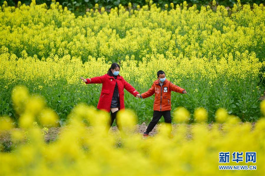 (決戰(zhàn)決勝脫貧攻堅(jiān)·圖文互動(dòng))(4)特寫:疫情下的一堂特殊送教上門課