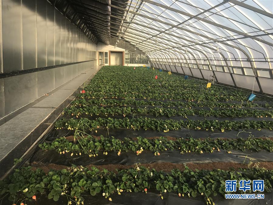 （圖文互動）（2）產(chǎn)業(yè)變綠 石墨變金 環(huán)境變美&mdash;&mdash;&ldquo;煤城&rdquo;三變孕育春的生機