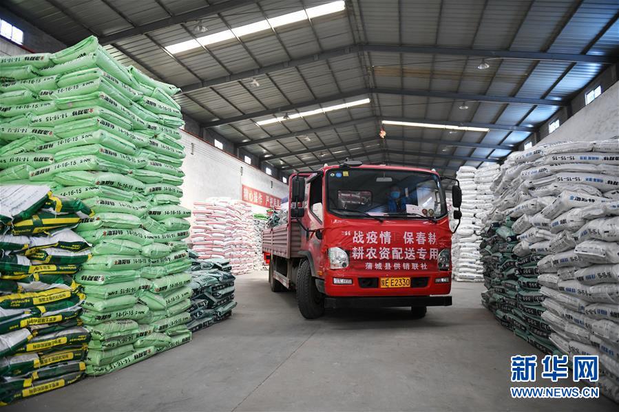 (新華全媒頭條·圖文互動)(12)春色最濃在田間——來自全國春耕備耕的現(xiàn)場觀察