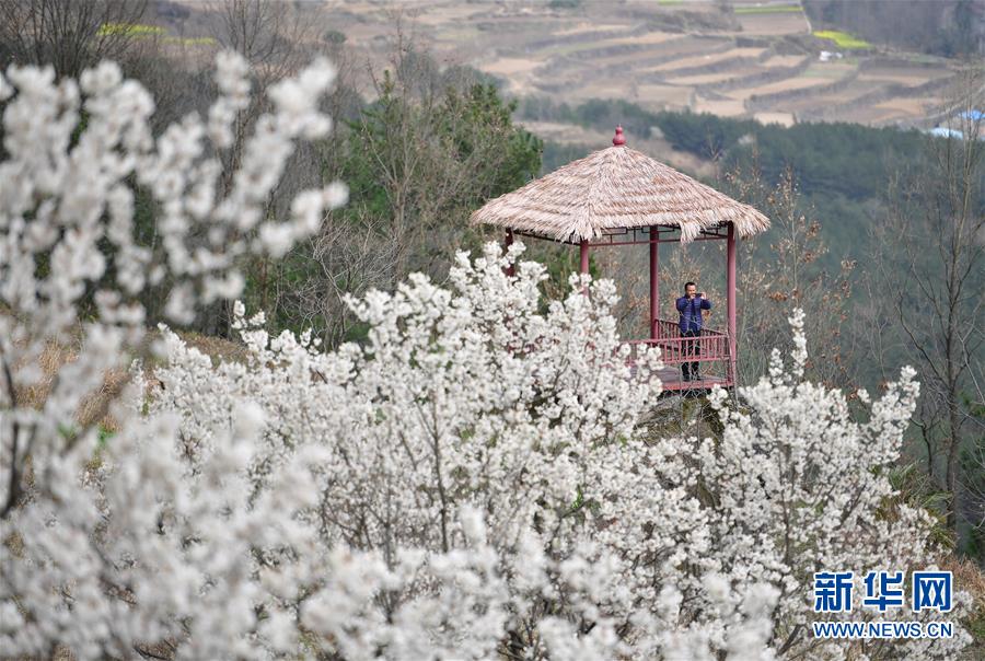 (新華全媒頭條·圖文互動(dòng))(6)奔向新的幸福——陜西貧困縣全部摘帽的N個(gè)截面