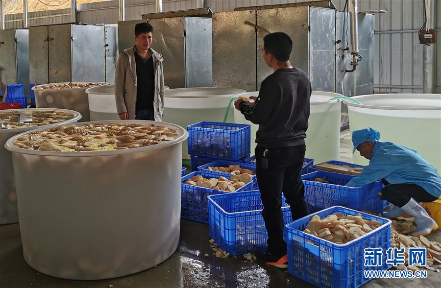 （決戰(zhàn)決勝脫貧攻堅&middot;圖文互動）掛牌督戰(zhàn)，一個都不能少&mdash;&mdash;江西確保剩余9.6萬貧困人口全部脫貧