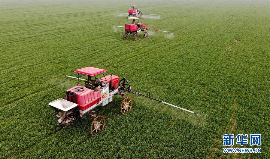 （新華全媒頭條&middot;圖文互動(dòng)）（3）春天，匯聚復(fù)蘇的力量&mdash;&mdash;寫在2020年首季中國(guó)經(jīng)濟(jì)收官之際