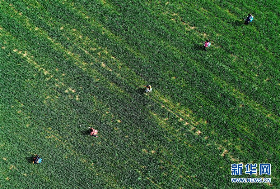 （新華全媒頭條&middot;圖文互動(dòng)）（5）春天，匯聚復(fù)蘇的力量&mdash;&mdash;寫在2020年首季中國(guó)經(jīng)濟(jì)收官之際