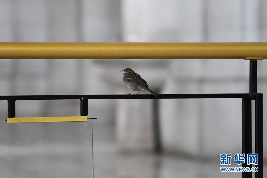 (國(guó)際疫情)(5)約翰斯·霍普金斯大學(xué):美國(guó)新冠肺炎確診病例超過(guò)14萬(wàn)例