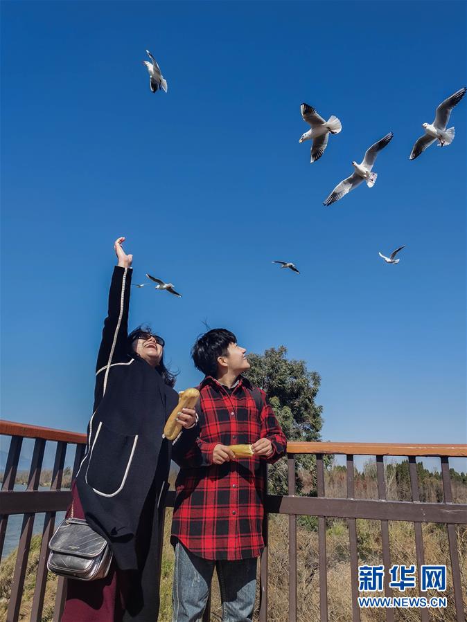 （一線抗疫群英譜&middot;圖文互動(dòng)）（1）大學(xué)生志愿者譚藝西：在武漢，我和媽媽共戰(zhàn)&ldquo;疫&rdquo;