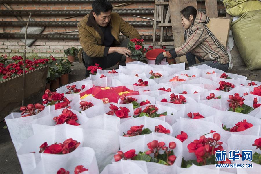 （在習近平新時代中國特色社會主義思想指引下&mdash;&mdash;新時代新作為新篇章&middot;習近平總書記關切事&middot;圖文互動）（1）希望的田野，希望的春天&mdash;&mdash;各地農(nóng)業(yè)生產(chǎn)新動態(tài)掃描