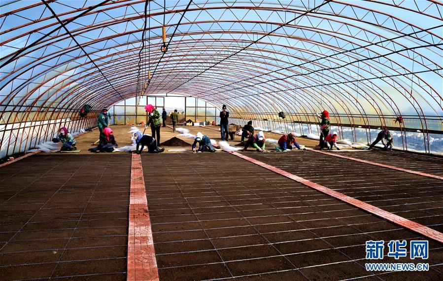 （在習近平新時代中國特色社會主義思想指引下&mdash;&mdash;新時代新作為新篇章&middot;習近平總書記關切事&middot;圖文互動）（5）希望的田野，希望的春天&mdash;&mdash;各地農(nóng)業(yè)生產(chǎn)新動態(tài)掃描