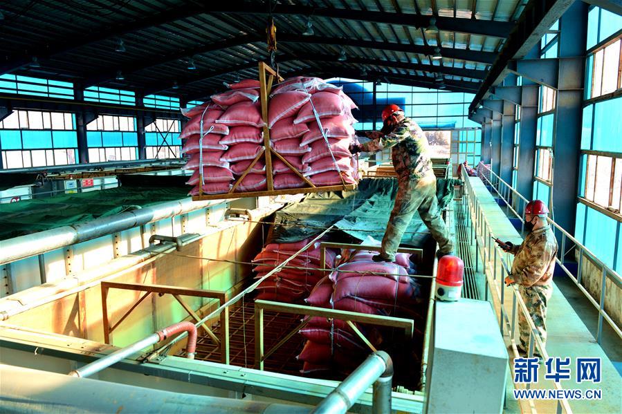 （在習近平新時代中國特色社會主義思想指引下&mdash;&mdash;新時代新作為新篇章&middot;習近平總書記關切事&middot;圖文互動）（6）希望的田野，希望的春天&mdash;&mdash;各地農(nóng)業(yè)生產(chǎn)新動態(tài)掃描