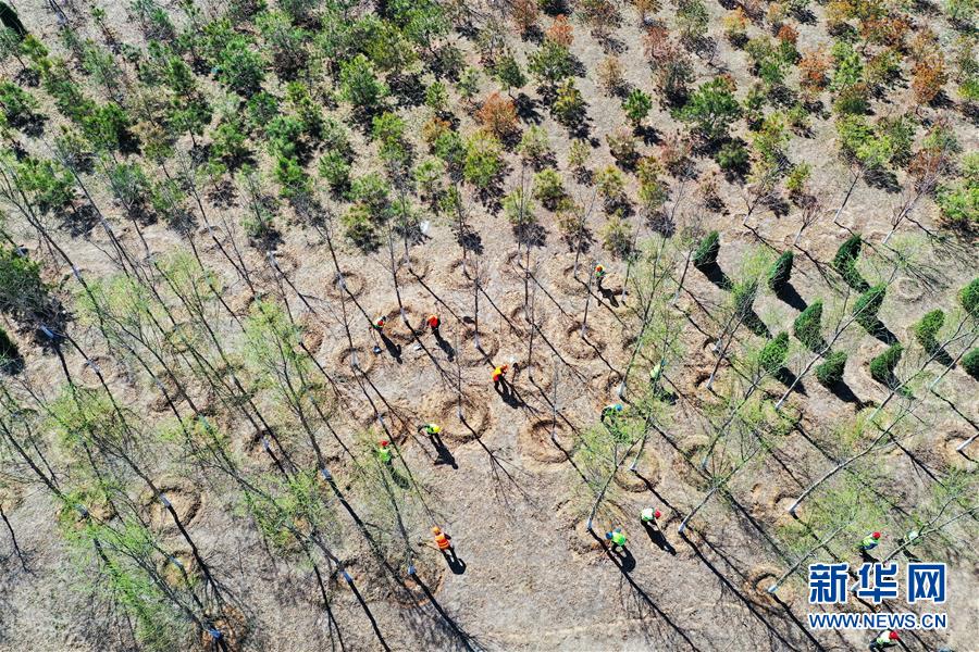 （新華全媒頭條&middot;圖文互動）（5）雄安畫卷徐徐鋪展　&ldquo;未來之城&rdquo;蓄勢待發(fā)&mdash;&mdash;雄安新區(qū)設立三周年巡禮