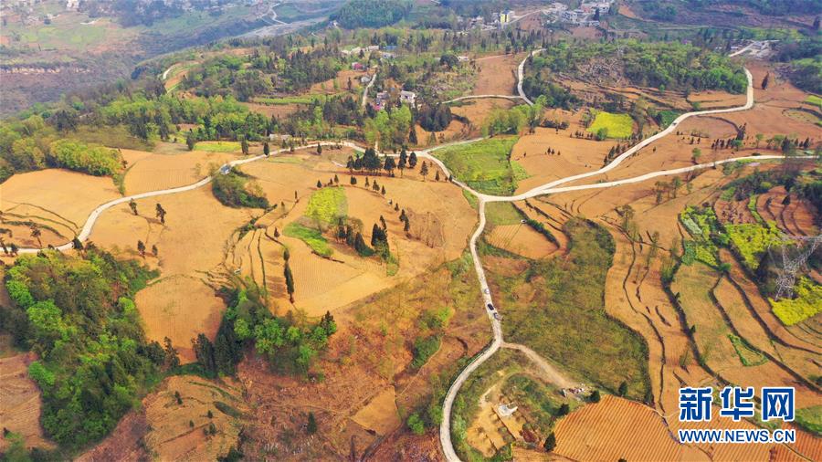 （決戰(zhàn)決勝脫貧攻堅&middot;圖文互動）（2）寄相思，償夙愿&mdash;&mdash;5封清明&ldquo;家書&rdquo;里的決戰(zhàn)決勝信念