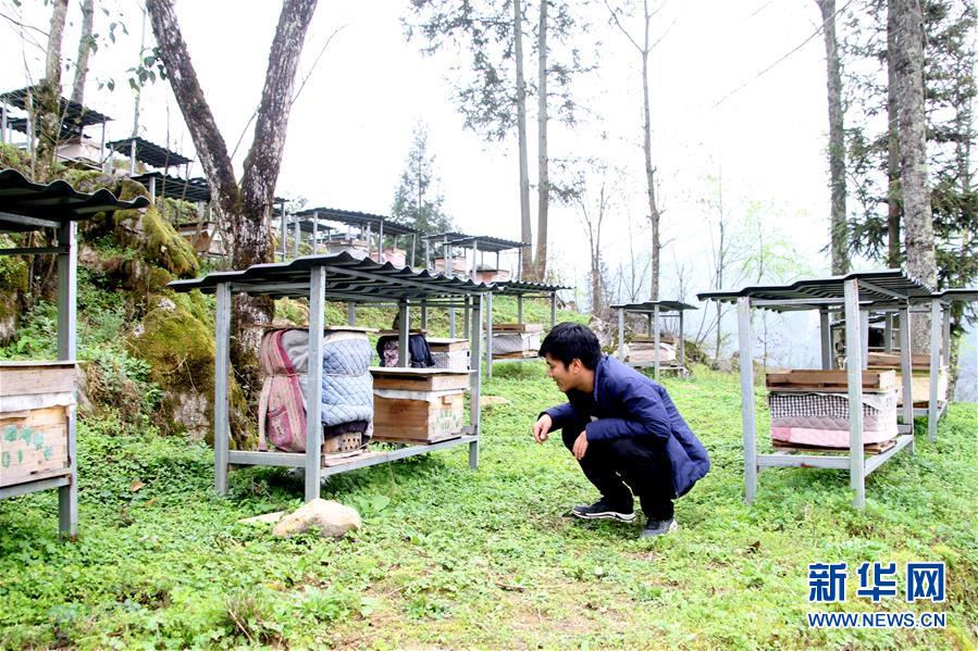 （決戰(zhàn)決勝脫貧攻堅&middot;圖文互動）（3）寄相思，償夙愿&mdash;&mdash;5封清明&ldquo;家書&rdquo;里的決戰(zhàn)決勝信念