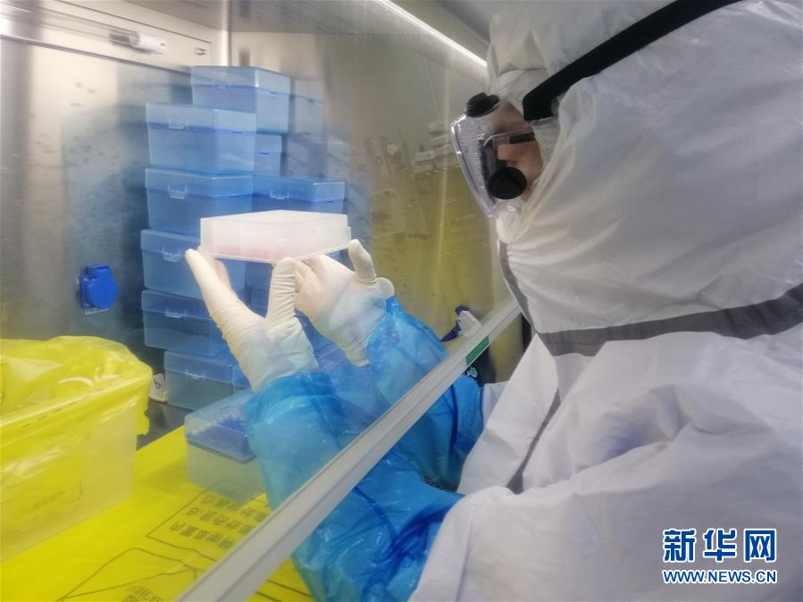 （一線抗疫群英譜&middot;圖文互動）（2）&ldquo;95后&rdquo;大學(xué)生郝鶯歌：退掉車票，她選擇直面病毒