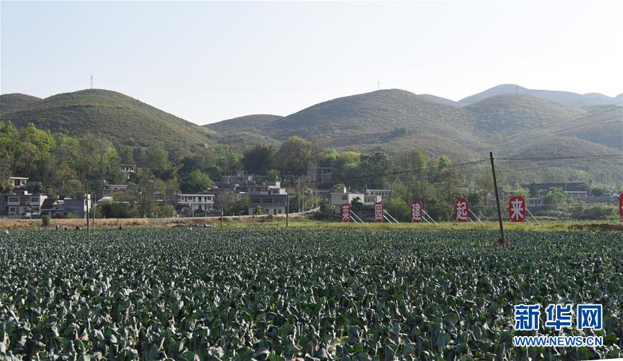 （決戰(zhàn)決勝脫貧攻堅&middot;圖文互動）（2）逐項逐戶排查補齊脫貧攻堅&ldquo;短板&rdquo;&mdash;&mdash;貴州晴隆縣扶貧一線工作見聞 