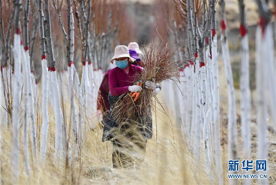 (新華全媒頭條·圖文互動)(14)三江之源見證中國奇跡——寫在玉樹地震10周年之際