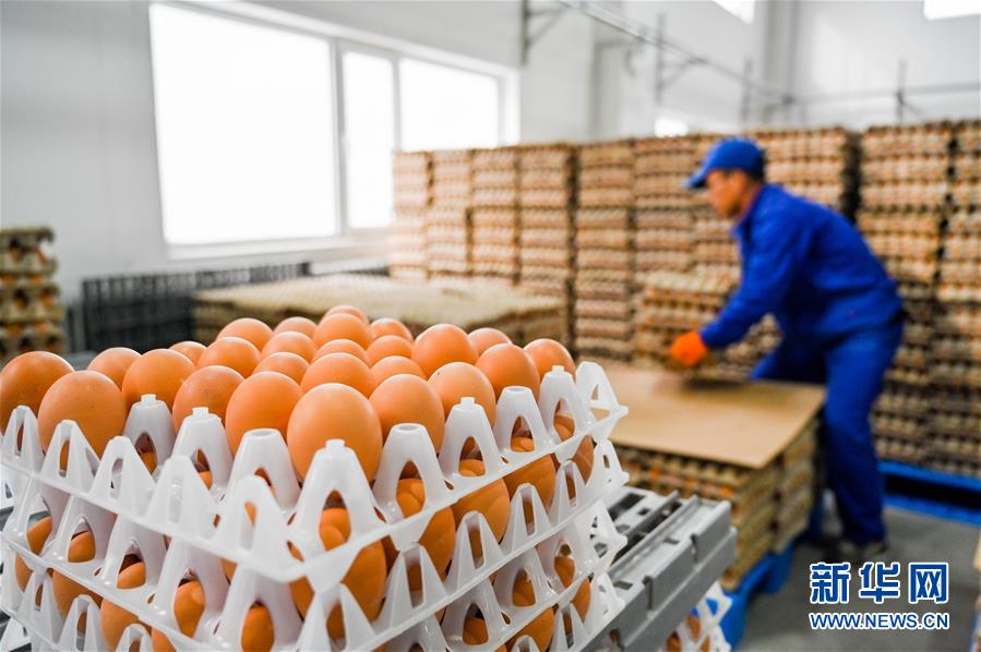 (新華全媒頭條·圖文互動(dòng))(9)內(nèi)蒙古貧困旗縣全部“摘帽”