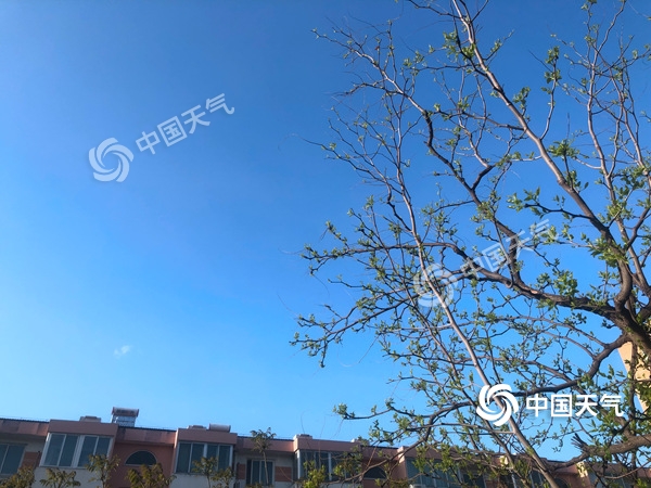 陣風(fēng)8級(jí)！北京遭遇雨后大降溫 北風(fēng)勁吹需添衣