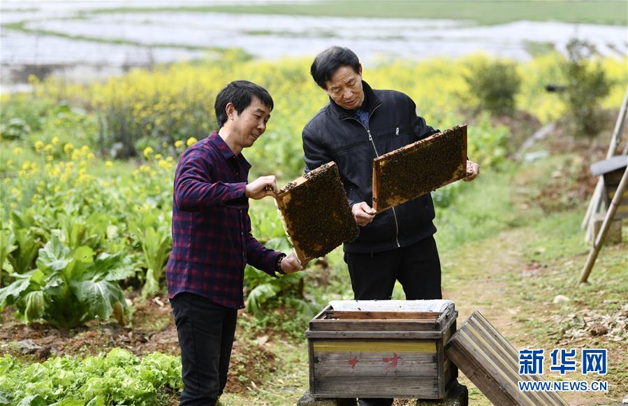 (決戰(zhàn)決勝脫貧攻堅(jiān)·圖文互動(dòng))(2)一位農(nóng)民的產(chǎn)業(yè)扶貧成績(jī)單